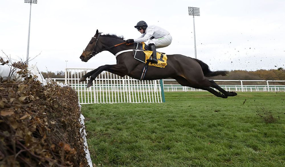 A racehorse in Michael Buckley colours clearing a fence